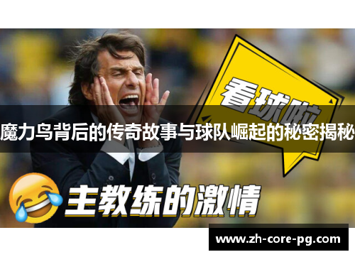 魔力鸟背后的传奇故事与球队崛起的秘密揭秘