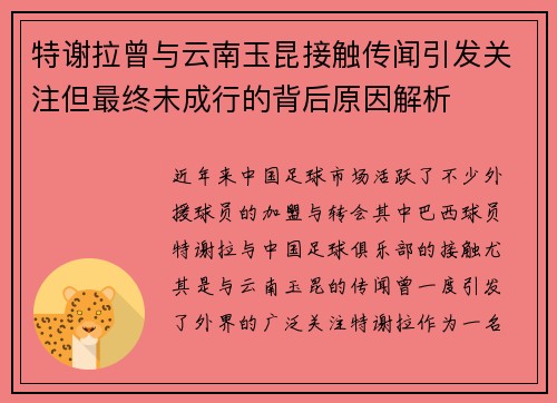 特谢拉曾与云南玉昆接触传闻引发关注但最终未成行的背后原因解析